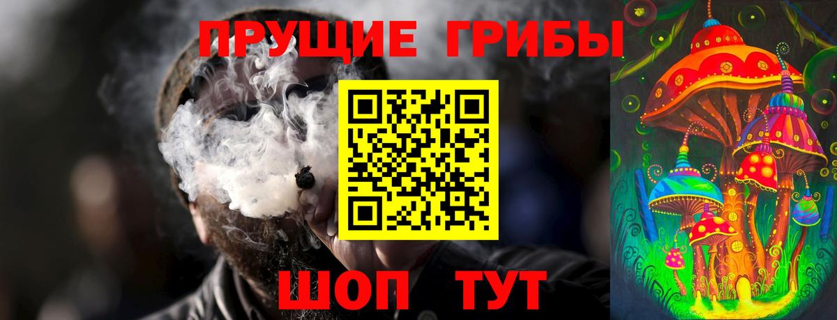 Гудермес  Псилоцибиновые грибы Magic Shrooms  Псилоцибиновые грибы мицелий  Вход с VPN 